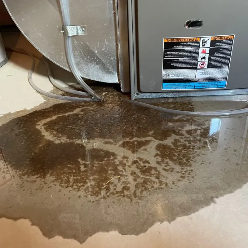 Pipe Burst and Leak Restoration in Pinedale, WY