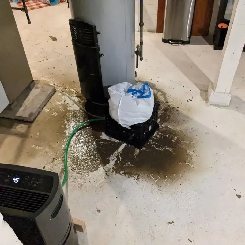 Sewage Backup Cleanup Service in Pinedale, WY